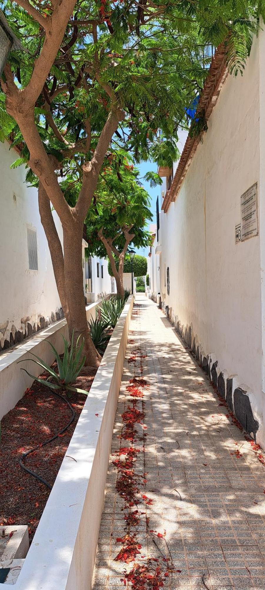 Kassisaba Apartamento Costa Del Silencio Exterior foto